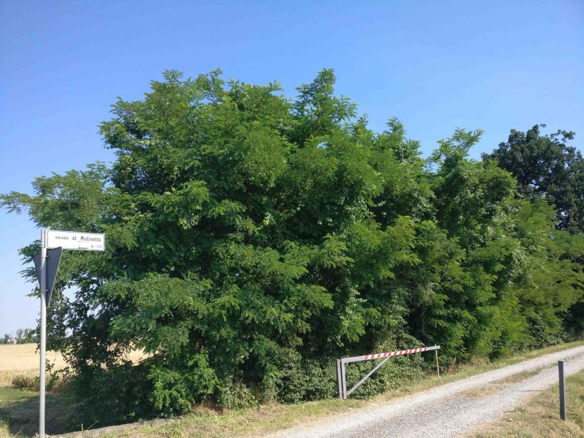 B&B Molinetto Piacenza Luaran gambar